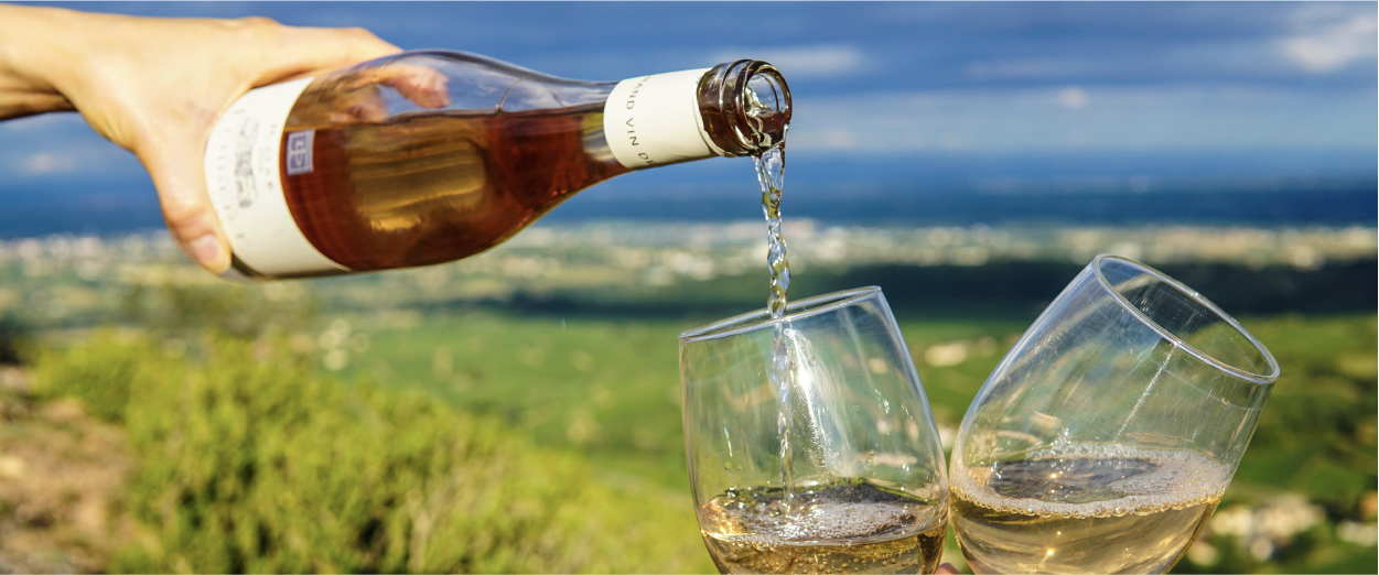 Corso di Introduzione alla Degustazione del Vino