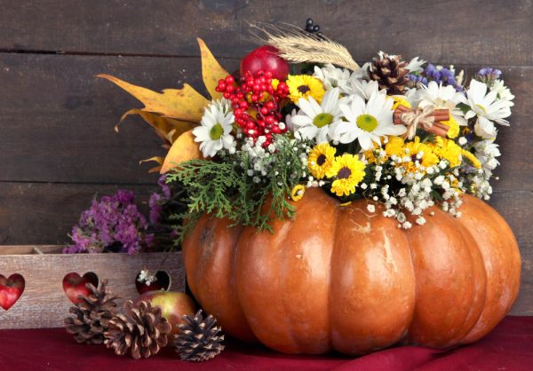 Zucca in fiore
